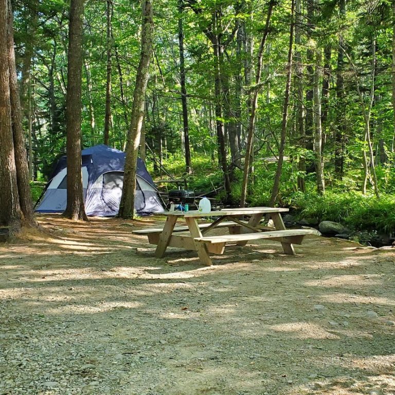 Photo Gallery Of Megunticook Campground In Rockport, Maine